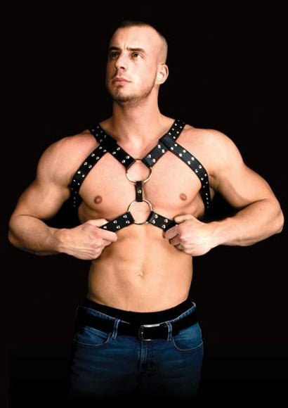 Andreas Masculine Masterpiece Body Harness